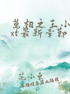 万相之王小说txt最新章节
