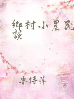 乡村小农民的小说