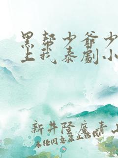 黑帮少爷少爷爱上我泰剧小说