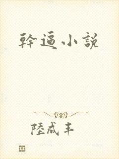 干逼小说