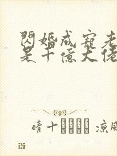 闪婚成宠老公竟是千亿大佬免费阅读