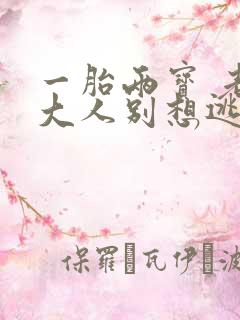 一胎两宝 老婆大人别想逃