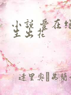 小说 爱在绝境生出花