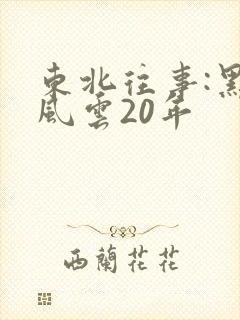 东北往事:黑道风云20年