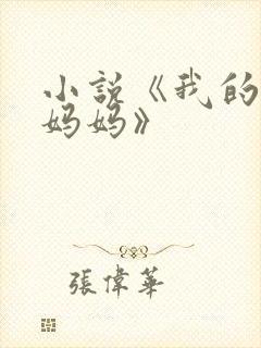 小说《我的风流妈妈》