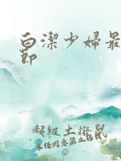 白洁少妇最新章节