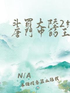 斗罗大陆2绝世唐门中的王冬