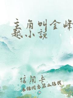主角叫金峰的穿越小说
