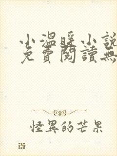 小温暖小说全文免费阅读无弹窗