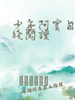 少年阿宾目录在线阅读
