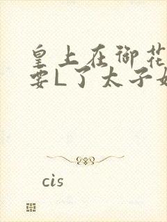 皇上在御花园里要L了太子妃