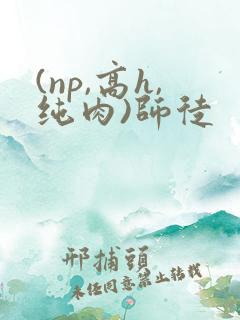 (np,高h,纯肉)师徒