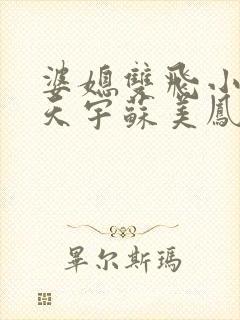 婆媳双飞小说纪天宇苏美凤免费阅读全文