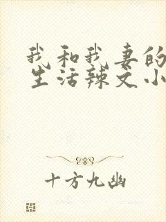 我和我妻的绿奴生活辣文小说
