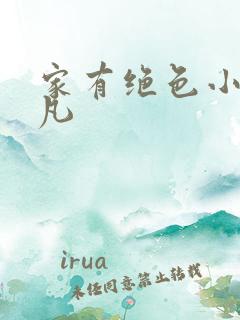 家有绝色小姨叶凡