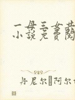 一母三女共一婿小说免费阅读