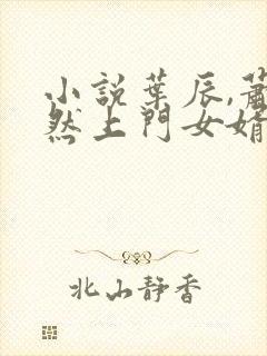 小说叶辰,萧初然上门女婿