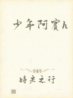 少年阿宾h