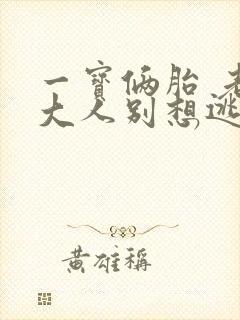一宝俩胎 老婆大人别想逃