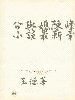 公与媳陈峰姚瑶小说最新章节阅读