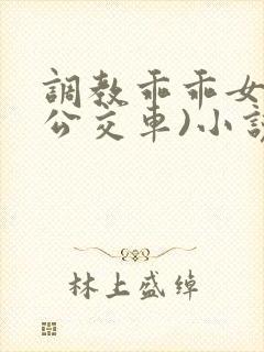 调教乖乖女h(公交车)小说在线阅读