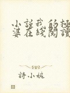 小说我的极品老婆在线阅读全文