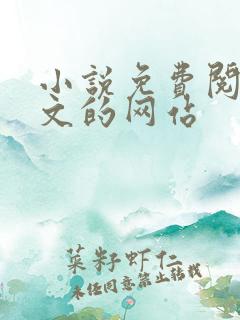 小说免费阅读全文的网站