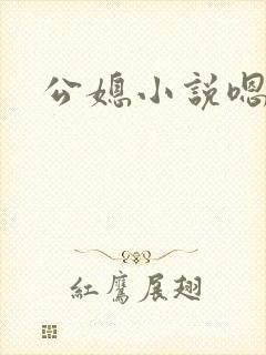 公媳小说嗯,啊