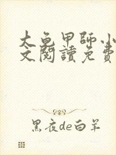 大龟甲师小说全文阅读免费