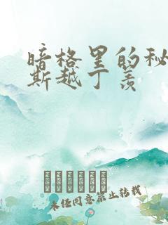 暗格里的秘密周斯越丁羡