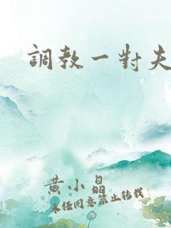 调教一对夫妻奴