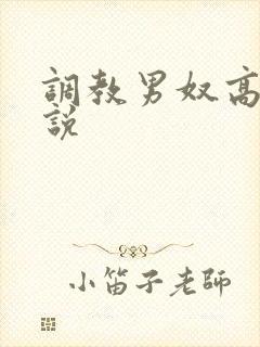 调教男奴高h小说