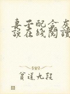 妻子配合灰狼小说在线阅读