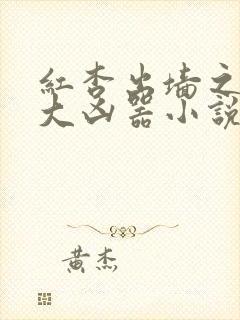 红杏出墙之乡村大凶器小说