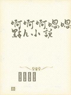 啊啊啊嗯嗯嗯轻点h小说