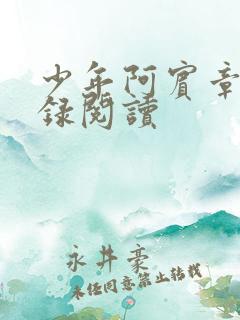 少年阿宾章节目录阅读