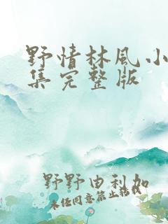 野情林风小说全集完整版
