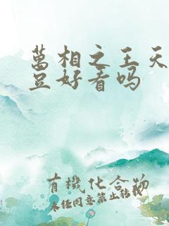 万相之王天蚕土豆好看吗