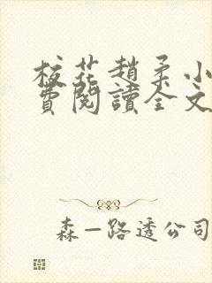 校花赵柔小说免费阅读全文