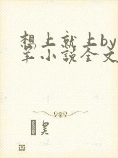 想上就上by迷羊小说全文免费阅读
