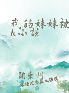 我的妹妹被偷奸h小说
