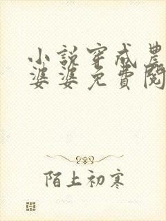 小说穿成农门恶婆婆免费阅读