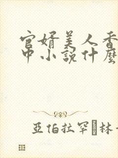 官婿美人香刘志中小说什么书名