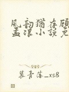 风韵犹存顾雅宁孟浪小说免费阅读