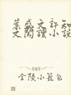 叶盛文许知柔全文阅读小说