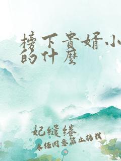 榜下贵婿小说讲的什么