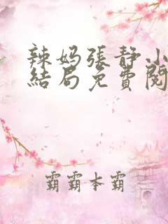 辣妈张静小说大结局免费阅读