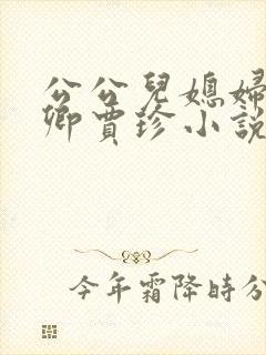 公公儿媳妇秦可卿贾珍小说免费阅读
