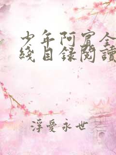 少年阿宾全集在线目录阅读全文原文