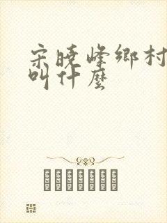 宋晓峰乡村爱情叫什么